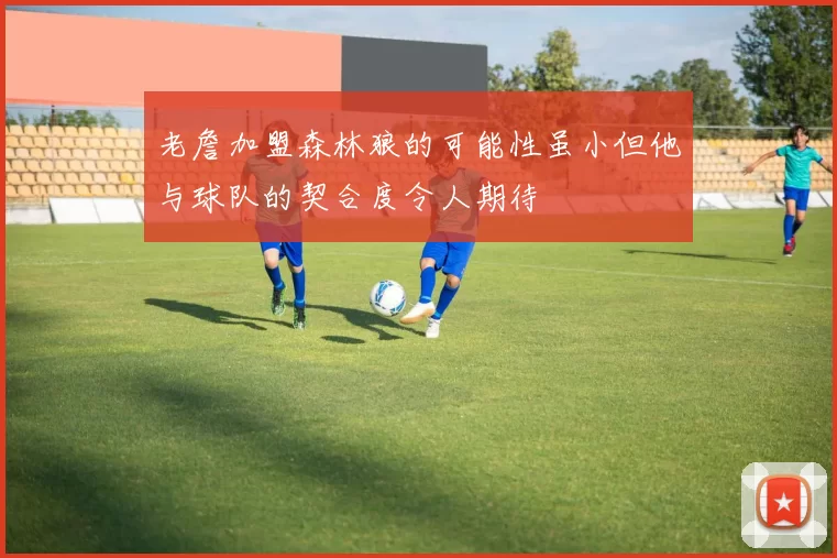 老詹加盟森林狼的可能性虽小但他与球队的契合度令人期待