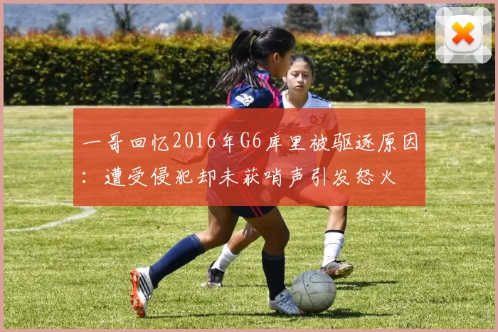 一哥回忆2016年G6库里被驱逐原因：遭受侵犯却未获哨声引发怒火