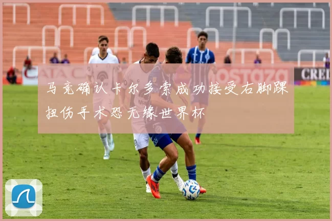 马竞确认卡尔多索成功接受右脚踝扭伤手术恐无缘世界杯